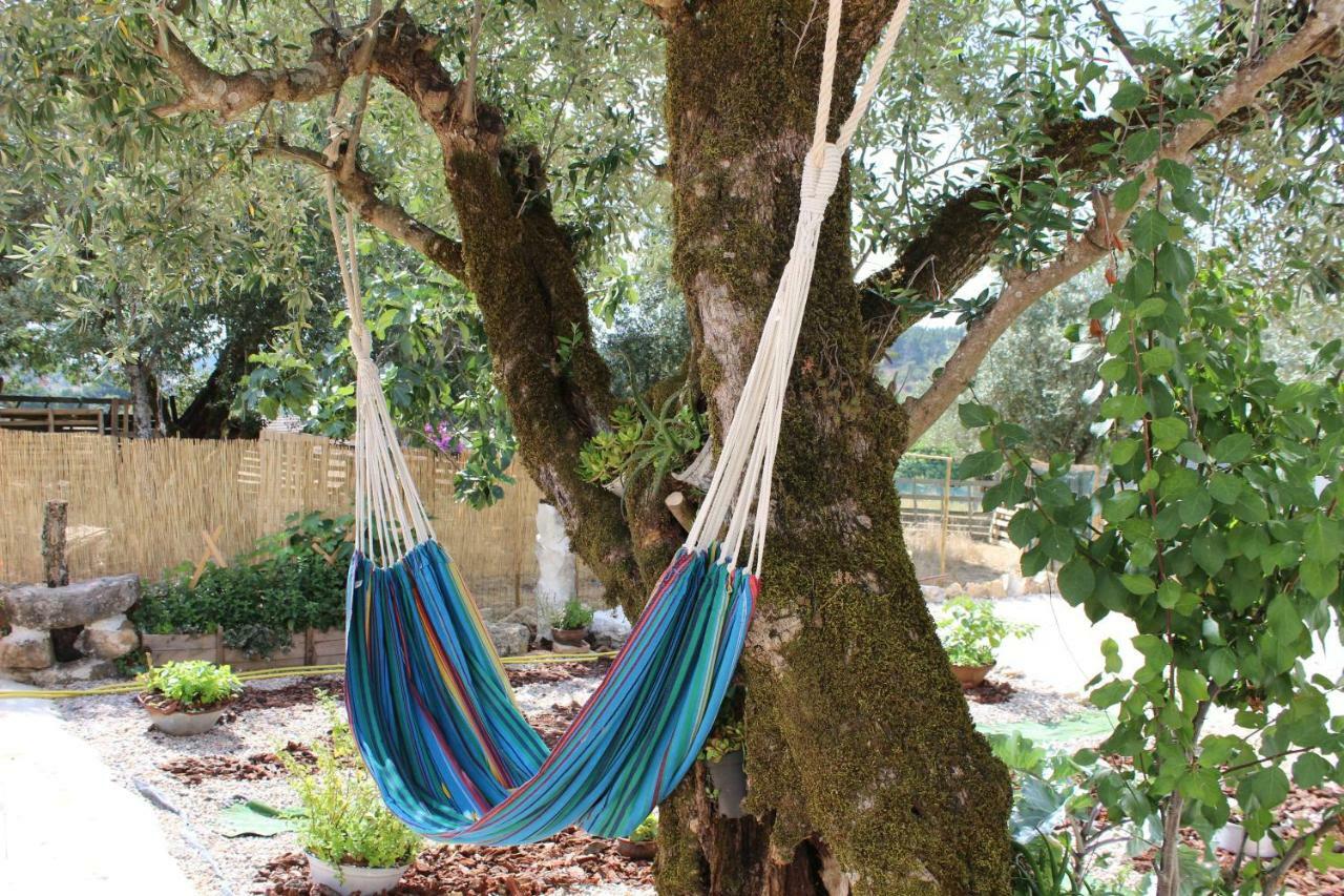 Turismo Rural Casa Da Ceu Amiais de Cima المظهر الخارجي الصورة