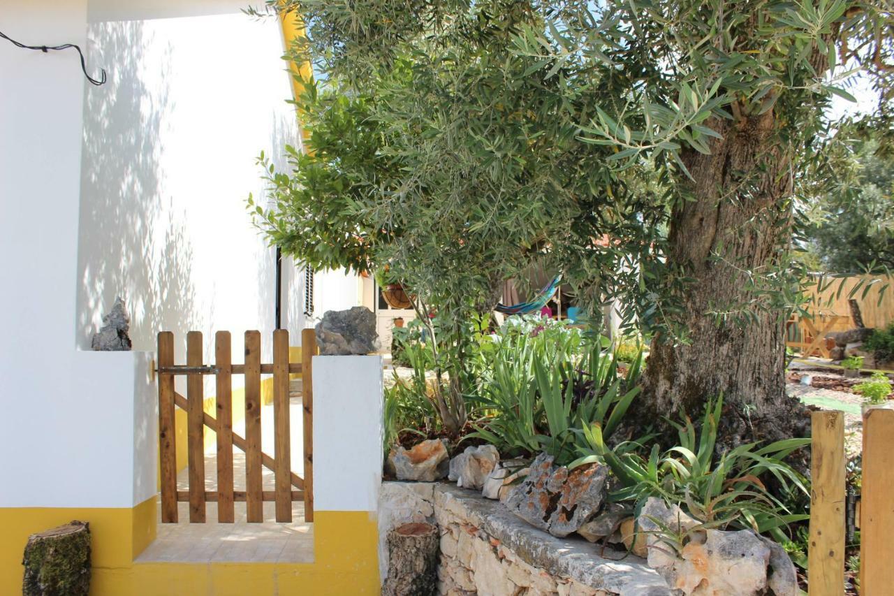 Turismo Rural Casa Da Ceu Amiais de Cima المظهر الخارجي الصورة